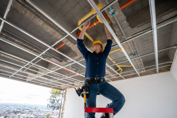 Best Plumbing Repair Near Me  in Kealakekua, HI