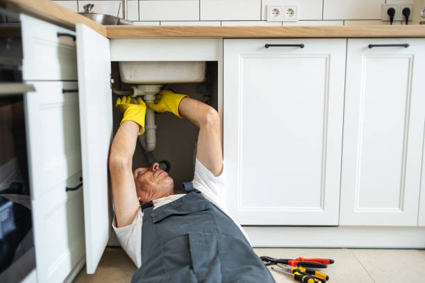 Best Clogged Drain Plumber  in Kealakekua, HI