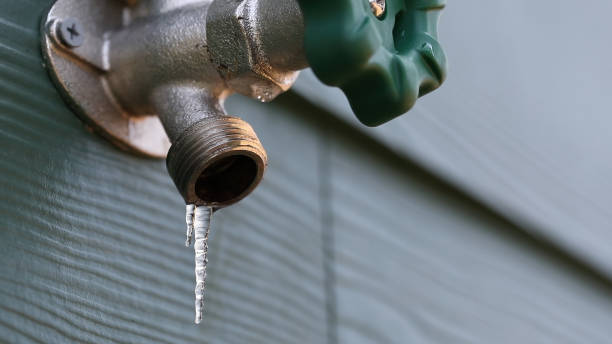 Best Commercial Plumbing Services  in Kealakekua, HI