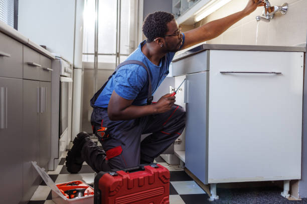 Best Leak Detection Services  in Kealakekua, HI