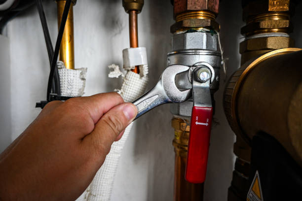 Best Local Plumber Services  in Kealakekua, HI